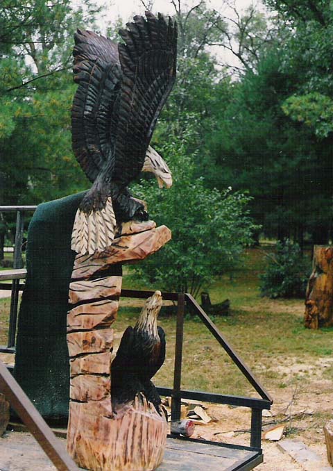 Eagles on Rock